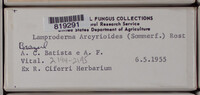 Image Associated With the Occurence